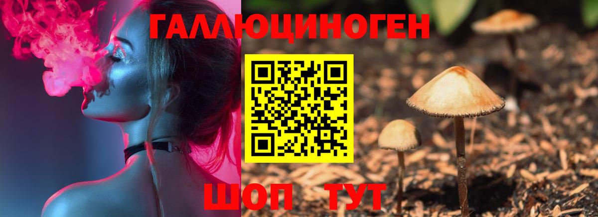 Псилоцибиновые грибы GOLDEN TEACHER Верхняя Пышма